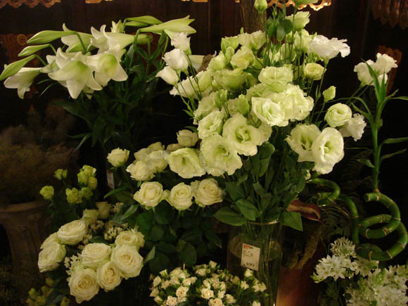 Philanthia fairy store white flowers